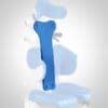 Starfish Pro Back support with cushion
