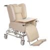 Daily Chair