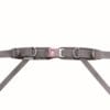 Dreamline 4 Point Padded Hip Belt, Rear Pull