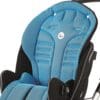 R82 Stingray Cushion