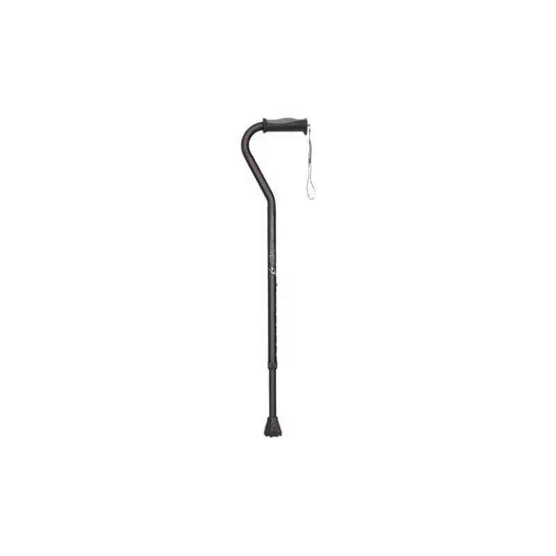 Walking Sticks